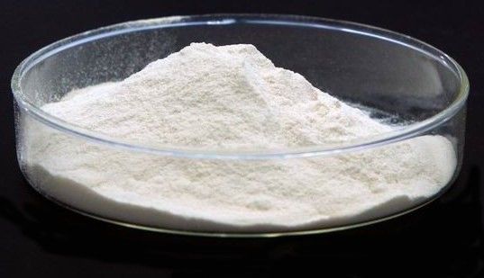 L-triptofano C11H12N2O2 per aminoacidi di grado alimentare EINECS 200-795-6 CAS n. 73-22-3